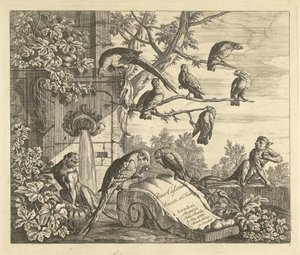 Parrots and Monkeys by a Garden Fountain, Various Birds (series title) by Peter Casteels (III)