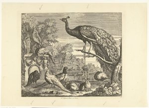 Peacock, Rabbits, and Other Birds by a Garden Fountain (Verschillende vogels) by Peter Casteels (III)