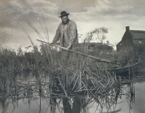 Coming Home from the Marshes, Life and Landscape on the Norfolk Broads, 1886