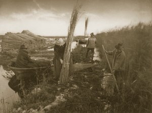 During the Reed Harvest, Life and Landscape on the Norfolk Broads