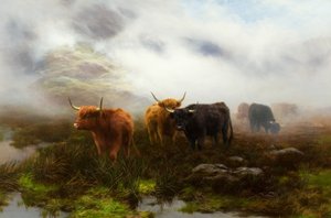 Moorland and Mist