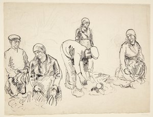 Beet Harvesters. Study Sheet