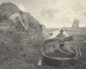 Ricking the Reed, 1886
