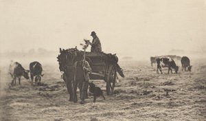 A Frosty Morning, 1890-1891, printed 1893 by Peter Henry Emerson