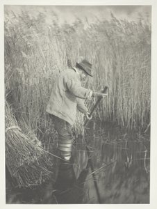 A Reed-Cutter at Work by Peter Henry Emerson