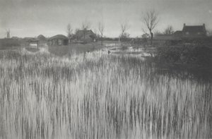 A Rushy Shore by Peter Henry Emerson
