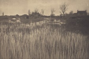 A Rushy Shore by Peter Henry Emerson