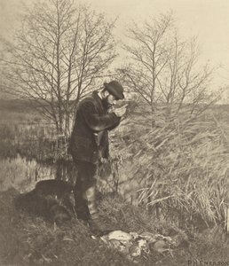At the Covert Corner. Norfolk by Peter Henry Emerson