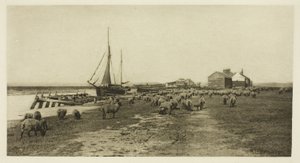Blackshore, River Blythe (Suffolk) by Peter Henry Emerson