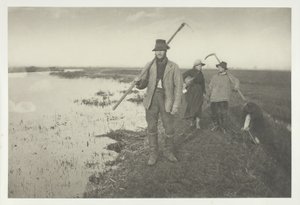 Coming Home from the Marshes