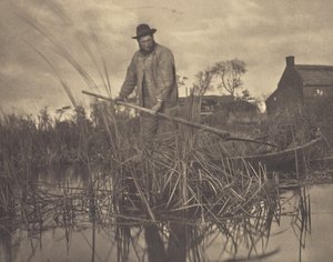 Cutting the Gladdon