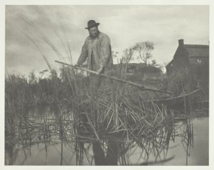 Cutting the Gladdon