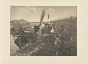 During the Reed-Harvest