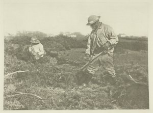 Furze-Cutting on a Suffolk Common