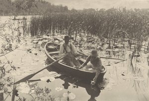 Gathering Water-Lilies by Peter Henry Emerson