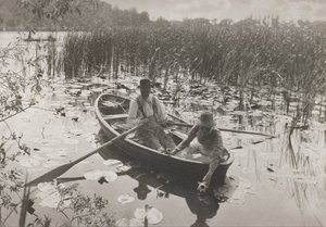 Gathering Waterlilies