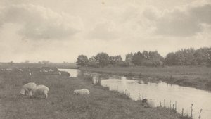 On the River Bure by Peter Henry Emerson
