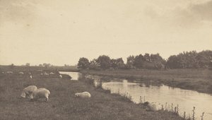 On the River Bure by Peter Henry Emerson