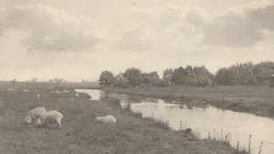On the River Bure, 1886 by Peter Henry Emerson