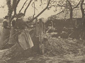 Osier-Peeling. Norfolk. by Peter Henry Emerson