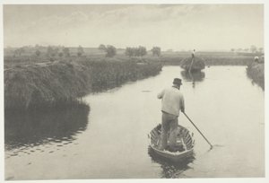 Quanting the Marsh Hay