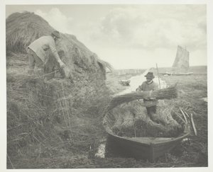 Ricking the Reed