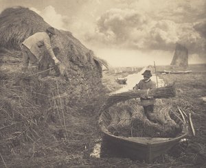 Ricking the Reed by Peter Henry Emerson