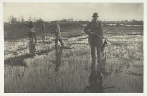 Snipe Shooting