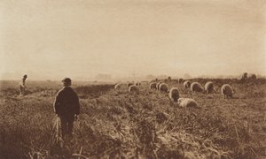 The Marshes in June by Peter Henry Emerson