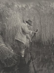 A Reed-Cutter at Work by Peter Henry Emerson and T.F. Goodall