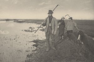 Coming Home from the Marshes