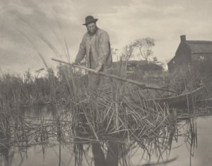 Cutting the Gladdon