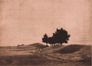 Evening Landscape