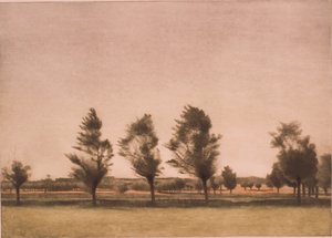 Landscape from Falster