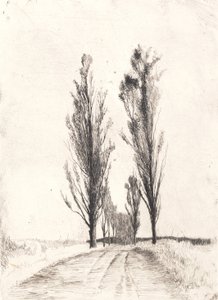 Poplar Avenue by Peter Vilhelm Ilsted