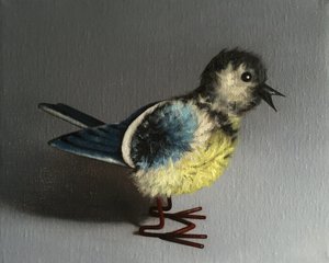 Blue Tit, 2016