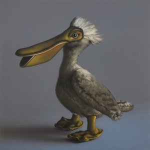 The Pelican by Peter Jones