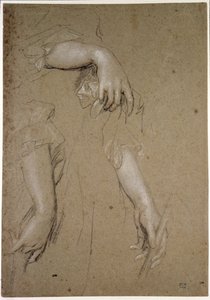 Studies of Hands by Peter Lely