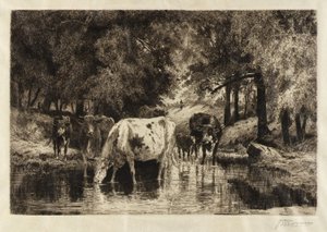 The Pool by Peter Moran