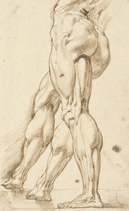 An Écorché Study of the Legs of a Male Nude, with a Subsidiary Study of the Right Leg by Peter Paul Rubens