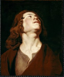 The Evangelist John by Peter Paul Rubens