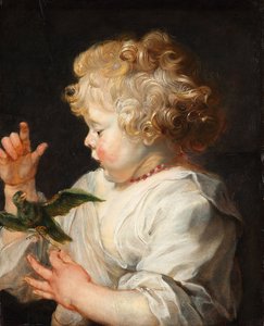 A Child with Bird by Peter Paul Rubens