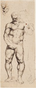 Hercules