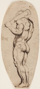 Hercules