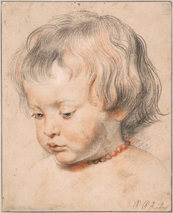 Nicolaas Rubens Wearing a Coral Necklace by Peter Paul Rubens