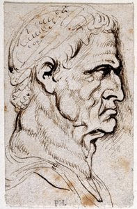 Vespasian, from Ten Drawings of Eight of the First Twelve Caesars