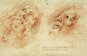 Two Studies of the Head of Laocoön by Peter Paul Rubens