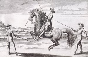 Illustration of a horse en Croupade from New Treatise for Breeding Horses written by Winters, Stuterey and Reit-Schul, pub. 1672 by Peter Paul Troschel