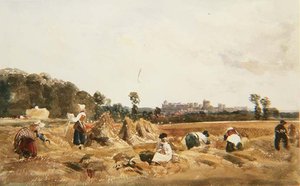 Cornfield, Windsor by Peter de Wint