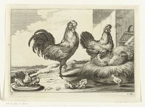 Chicken, Roosters, and Chicks by Peter van Liesebetten
